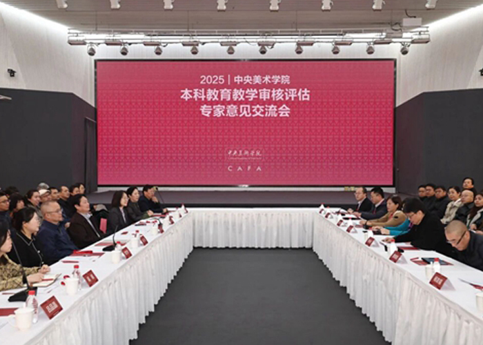 中央美术学院本科教育教学审核评估专家意见交流会举行